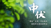 【三伏養(yǎng)生】至熱中伏，吃三樣，喝三樣，三大禁忌千萬(wàn)別犯，小心落下病根！