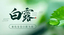 【二十四節(jié)氣灸】白露涼爽，養(yǎng)心肝脾胃、滋陰潤(rùn)肺是關(guān)鍵！