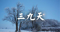 【三九養(yǎng)生】冬三九，三九第三灸，一年中最后艾灸黃金9天！