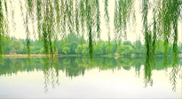 【養(yǎng)生知識】已入五九，六九將至，五九的養(yǎng)生秘訣，你知道嗎？