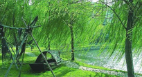 【養(yǎng)生知識】元宵入六九，春季已至，六九天的養(yǎng)生知識你知道多少？
