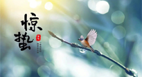 【二十四節(jié)氣灸】驚蟄節(jié)氣，艾灸喚醒抵抗力、補(bǔ)充陽(yáng)氣的最好時(shí)機(jī)！