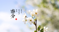 【二十四節(jié)氣灸】春分，平分了大地晝夜；艾灸，平衡了身體陰陽！
