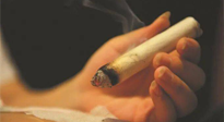 【艾灸知識】春暖花開，衣衫漸薄，再不減肥，身上的肉肉可藏不住了！