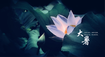 【二十四節(jié)氣灸】趁大暑好好艾灸，才不辜負(fù)三伏天的驕陽(yáng)！