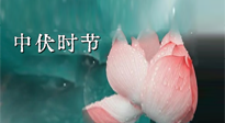 【艾灸三伏天】中伏：三伏灸的關(guān)鍵轉(zhuǎn)折點(diǎn)！“灸”除病根的大好時(shí)機(jī)！