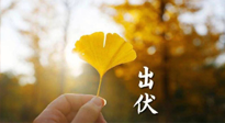 【艾灸三伏天】出伏啦！三防三宜兩穴位，防止身體“秋后算賬”！