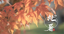 【二十四節(jié)氣灸】處暑，冬病夏治倒計(jì)時(shí)！秋涼真的要來(lái)了！