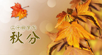 【二十四節(jié)氣灸】秋分節(jié)氣，平衡陰陽(yáng)，巧用艾灸，潤(rùn)燥養(yǎng)肺是關(guān)鍵！