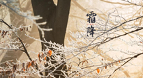 【二十四節(jié)氣灸】霜降節(jié)氣：艾灸四穴，護您冬天安然無恙！