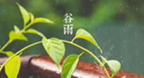 【二十四節(jié)氣灸】谷雨節(jié)氣脾土濕，艾灸降濕濁，脾旺不受邪！
