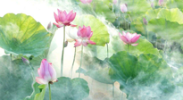 【養(yǎng)生知識】花開半夏，夏至養(yǎng)生，這些知識一定要牢記！