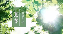 【艾灸三伏天】今年三伏不一般，仙草小助理建議大家早作準備哦！