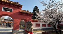 【行業(yè)資訊】新華財經(jīng)：守正創(chuàng)新，中醫(yī)藥品牌化發(fā)展“更上一層樓”！