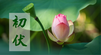 【三伏天】初伏將至，“蒸煮”模式開啟！想要健康，這四類食物別錯過?。? />
                    </a>
                </div>
            </li>
            
            <li id=