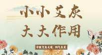 【艾草知識】艾灰真是個巨好用的東西，?它的神奇功效，你知道多少？